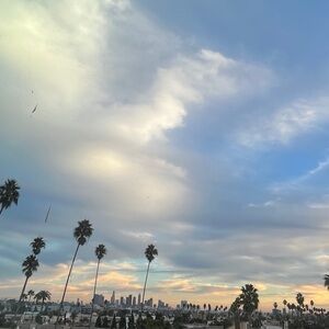 Meet your Posher, Bema